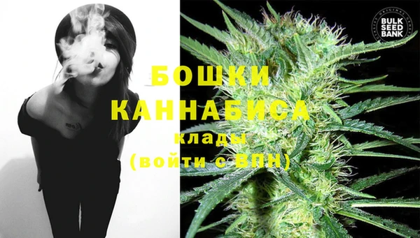 дживик Аркадак