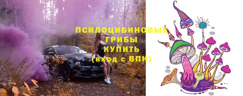 Галлюциногенные грибы Magic Shrooms  Верхняя Тура 